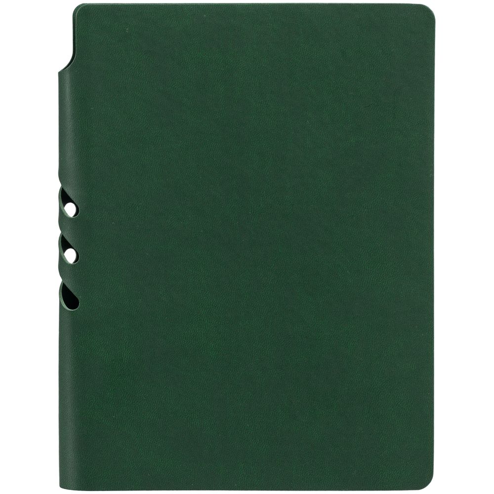 Ежедневник Flexpen Color, датированный