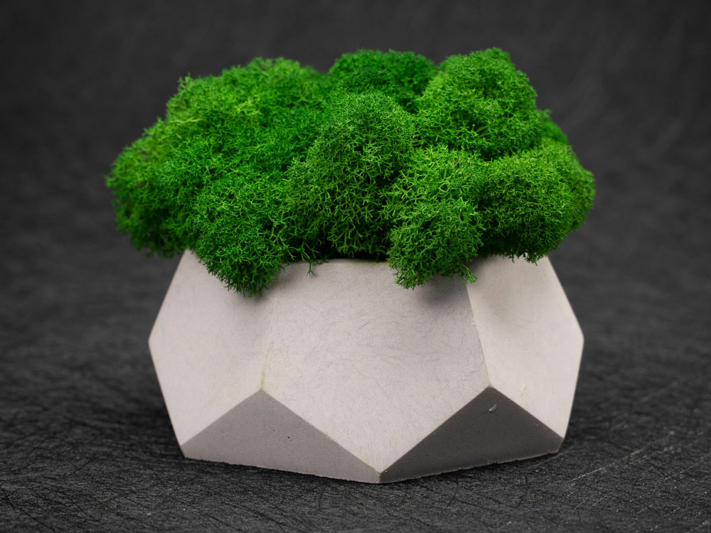 Кашпо бетонное со мхом (альфа-циркон мох зеленый), QRONA