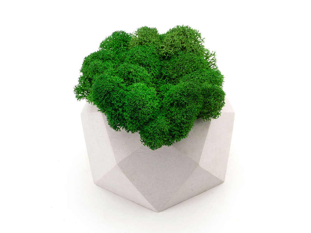 Кашпо бетонное со мхом (бета-циркон мох зеленый), QRONA