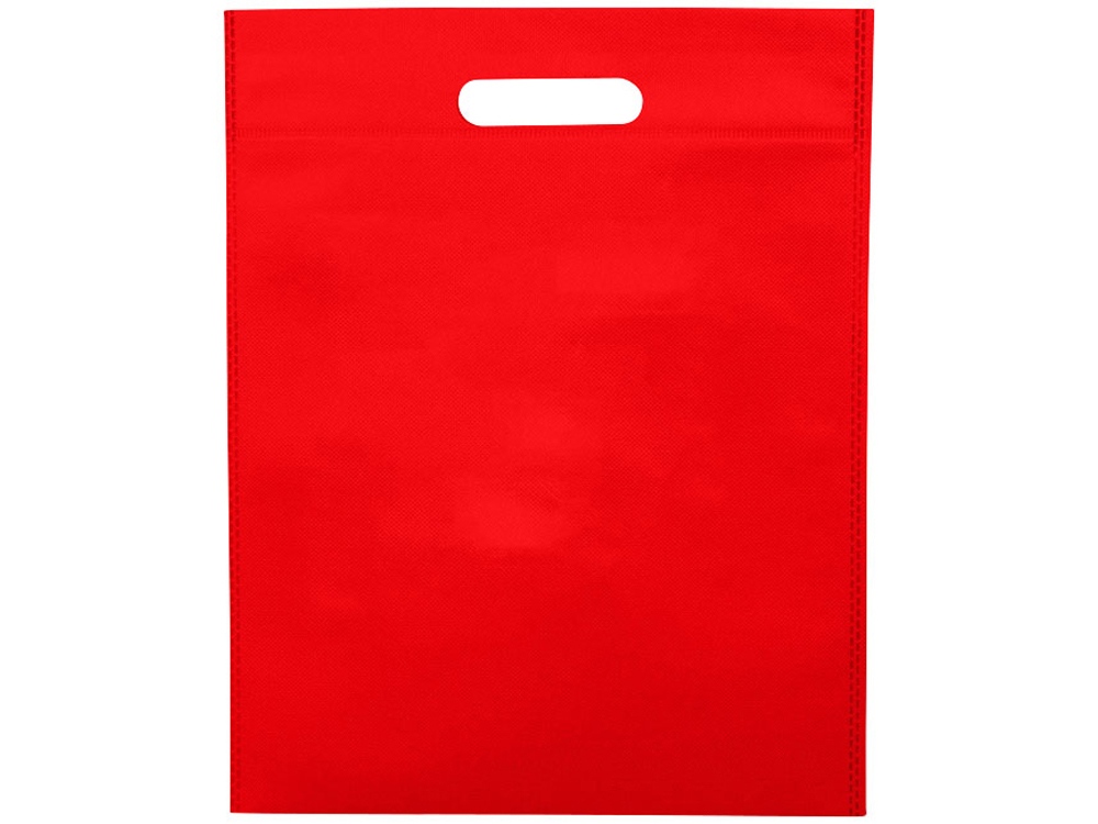 Большая просторная нетканая сумка-тоут для конференций