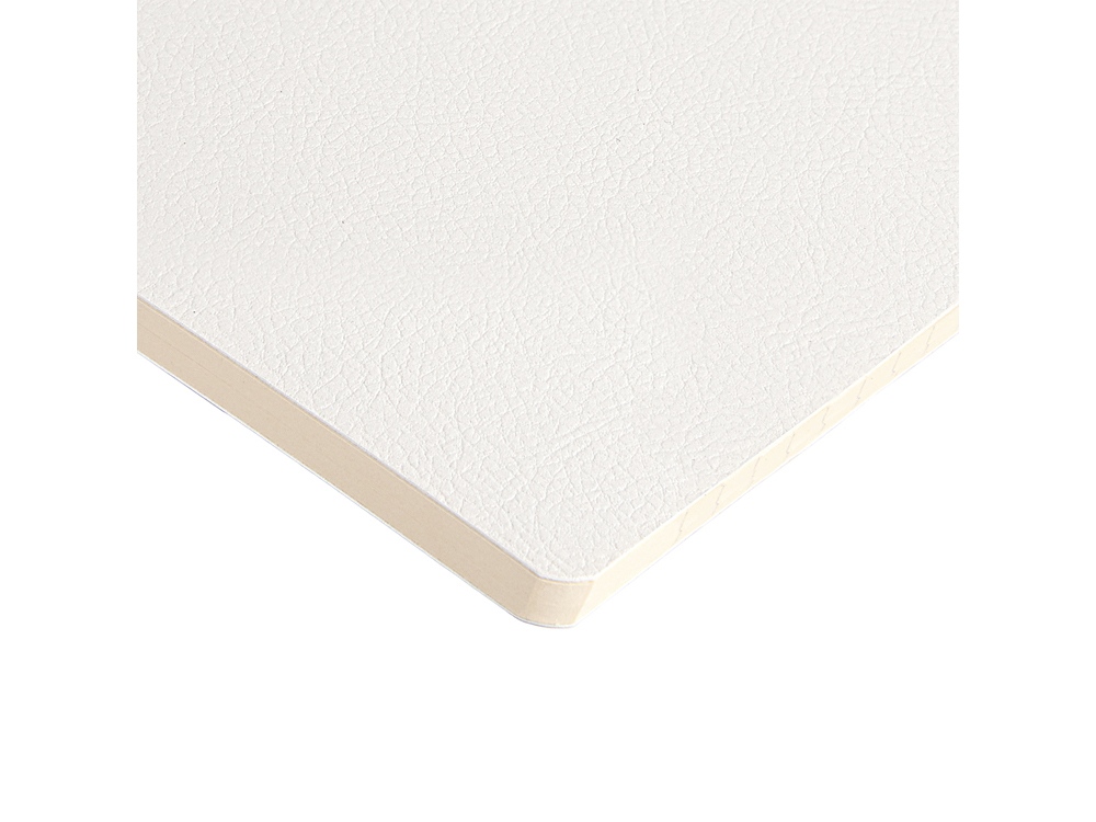 Бизнес-тетрадь А5 Megapolis Loft Flex 60 л., линейка, белый