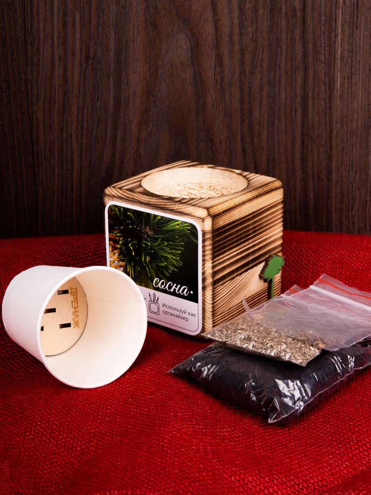 Набор для выращивания с органайзером «Экокуб Burn»