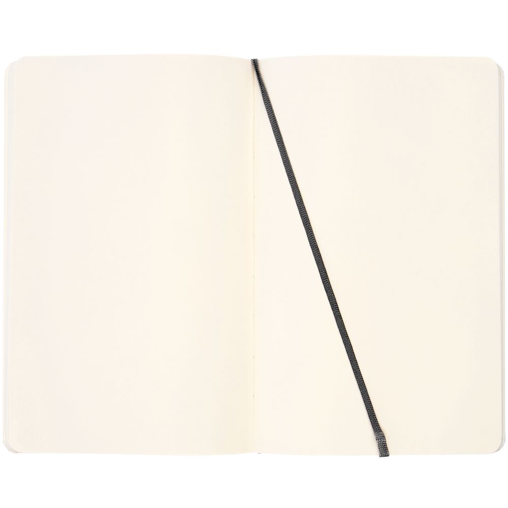 Записная книжка Moleskine Classic Large, без линовки фото на сайте Print Logo.