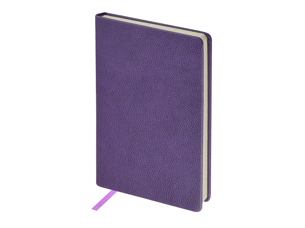 Ежедневник недатированный А5 Loft с логотипом Bruno Visconti | Print Logo