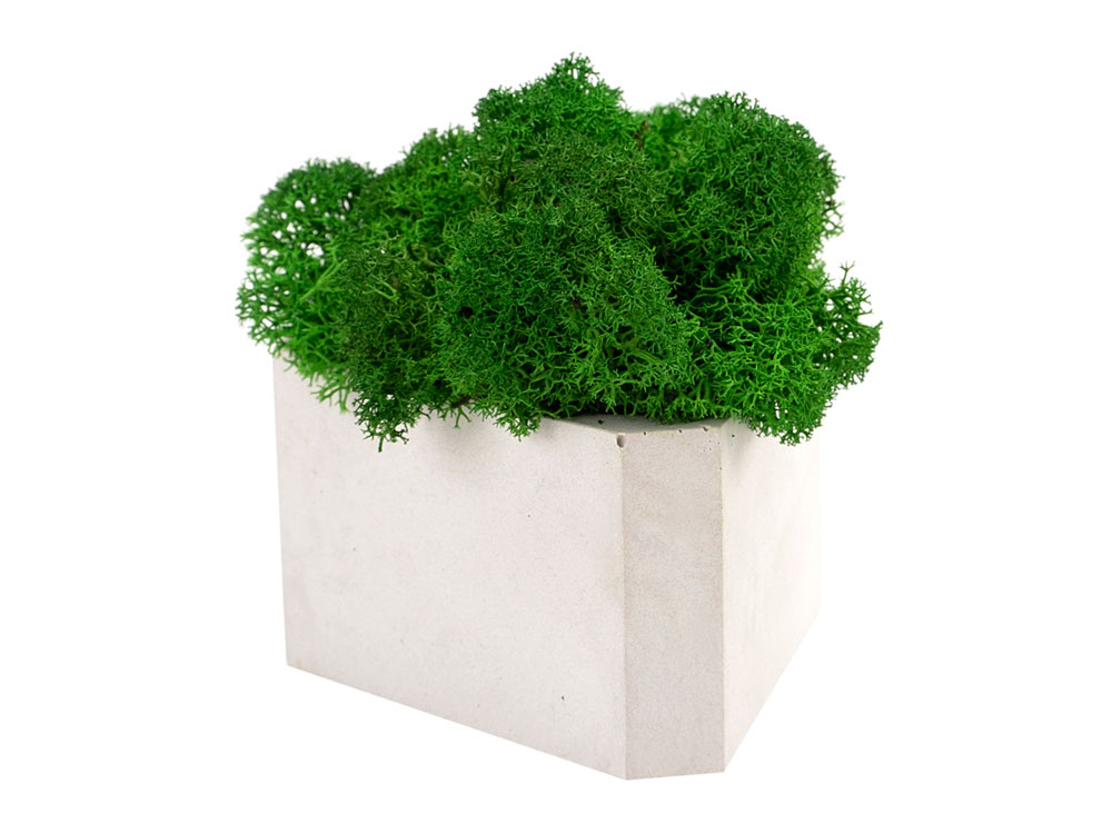 Кашпо бетонное со мхом (гама-циркон мох зеленый), QRONA