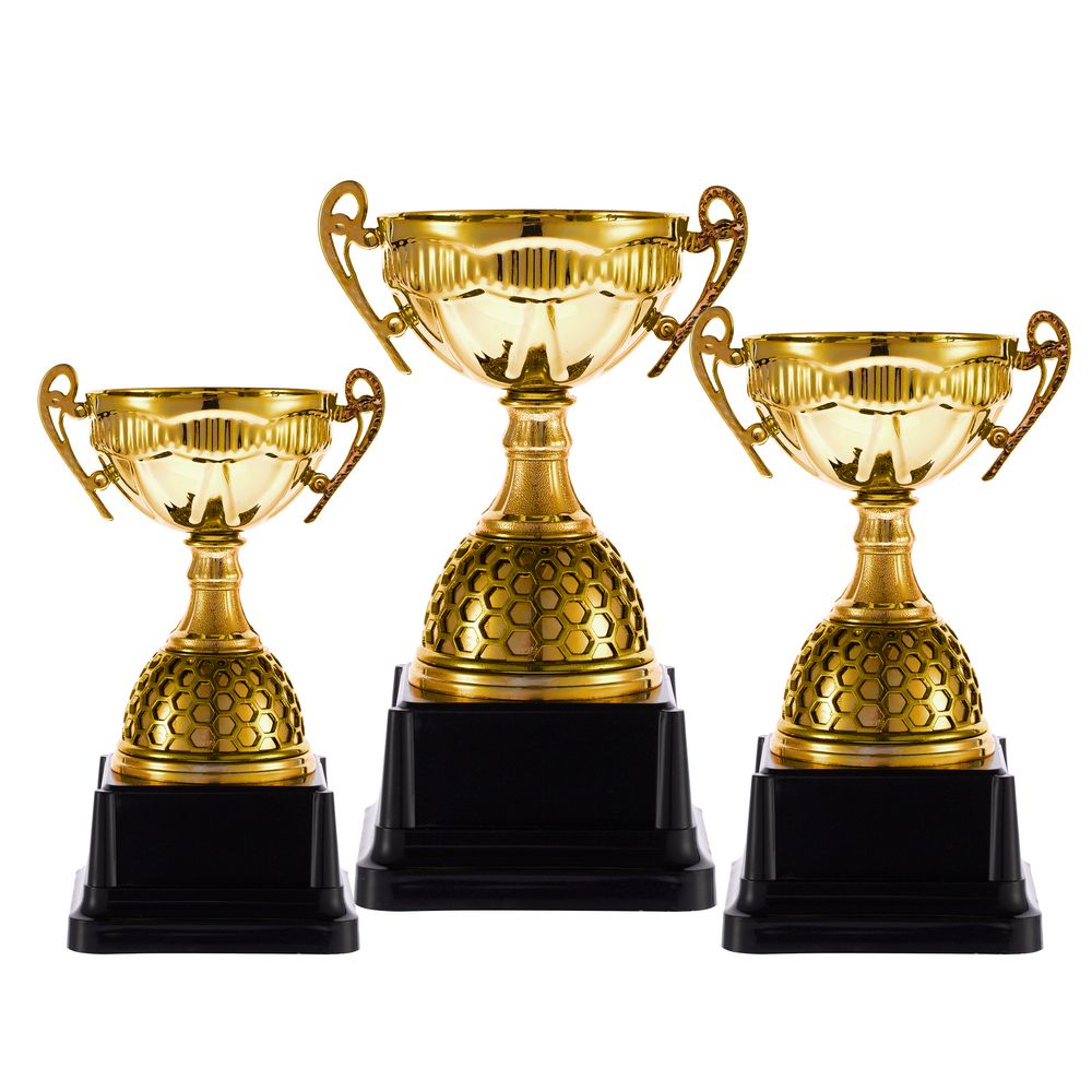 Кубок Meritus, малый — пример нанесения логотипа () | Print Logo