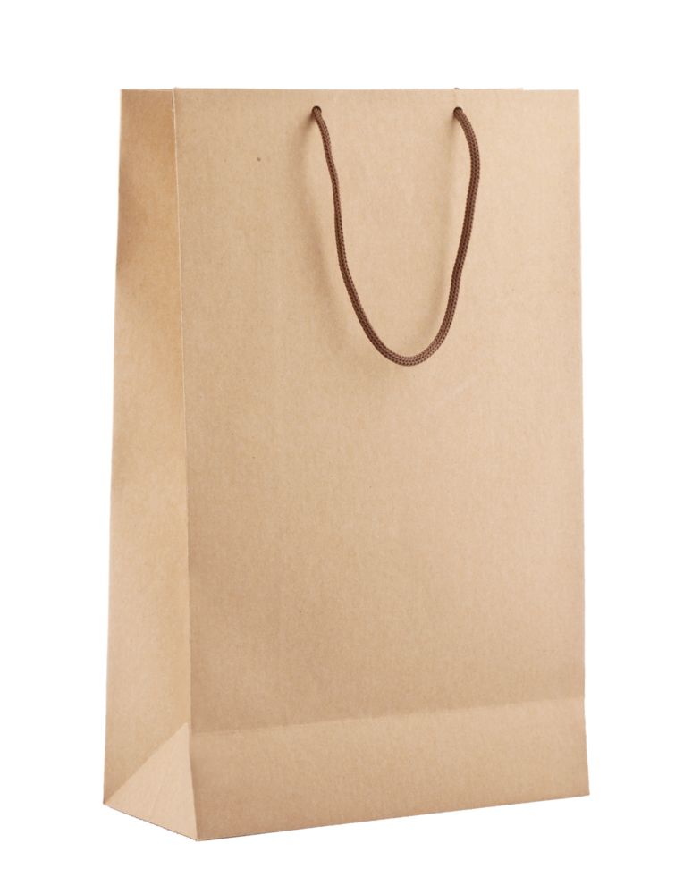 Пакет бумажный «Крафт», M — пример нанесения логотипа () | Print Logo