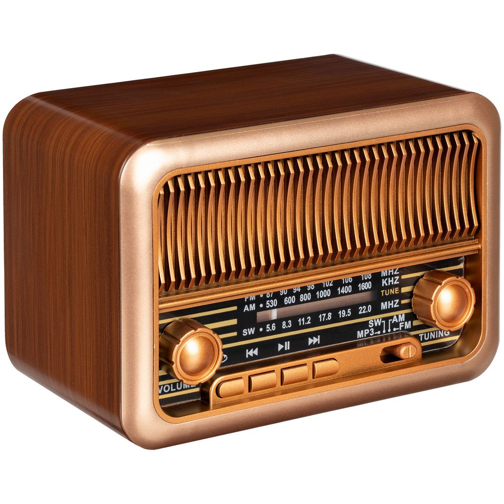 Bluetooth-колонка с радио Beatnik с логотипом Molti | Print Logo