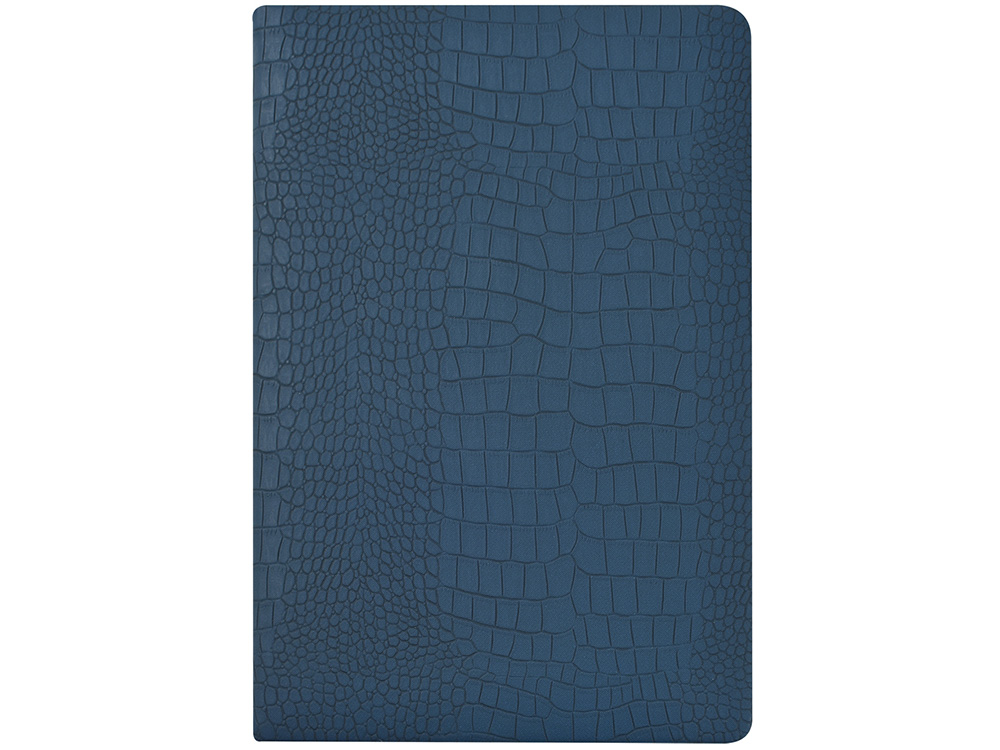 Ежедневник недатированный А5 Amazonia, синий с золотым обрезом