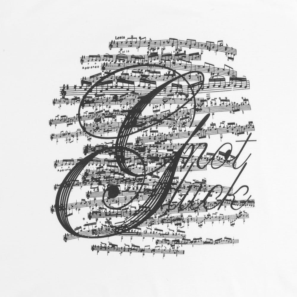 Футболка Not Gluck — пример нанесения логотипа (Соль) | Print Logo