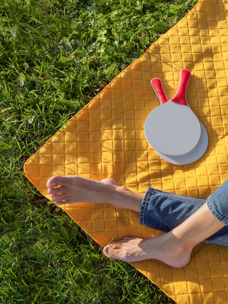 Плед для пикника Soft & Dry 2