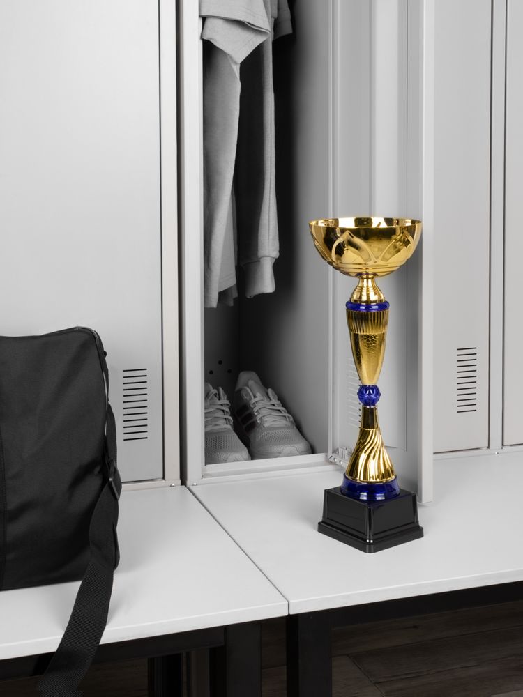 Кубок Awardee, большой