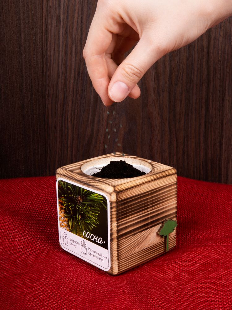 Набор для выращивания с органайзером «Экокуб Burn»