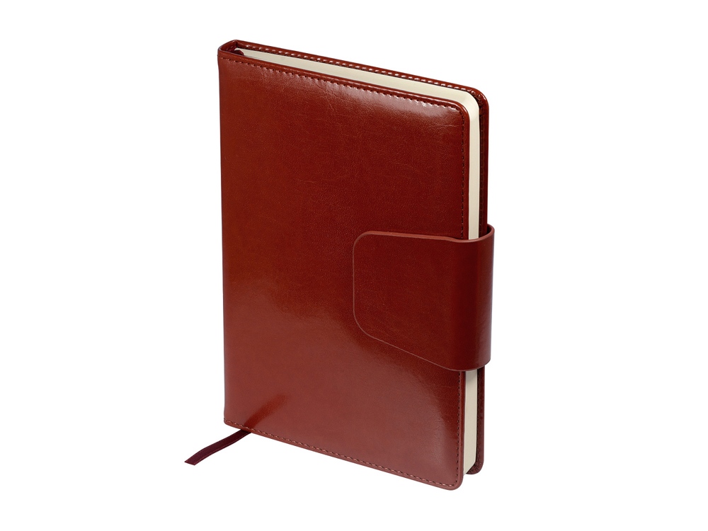 Ежедневник недатированный А5 Prestige с логотипом Bruno Visconti | Print Logo