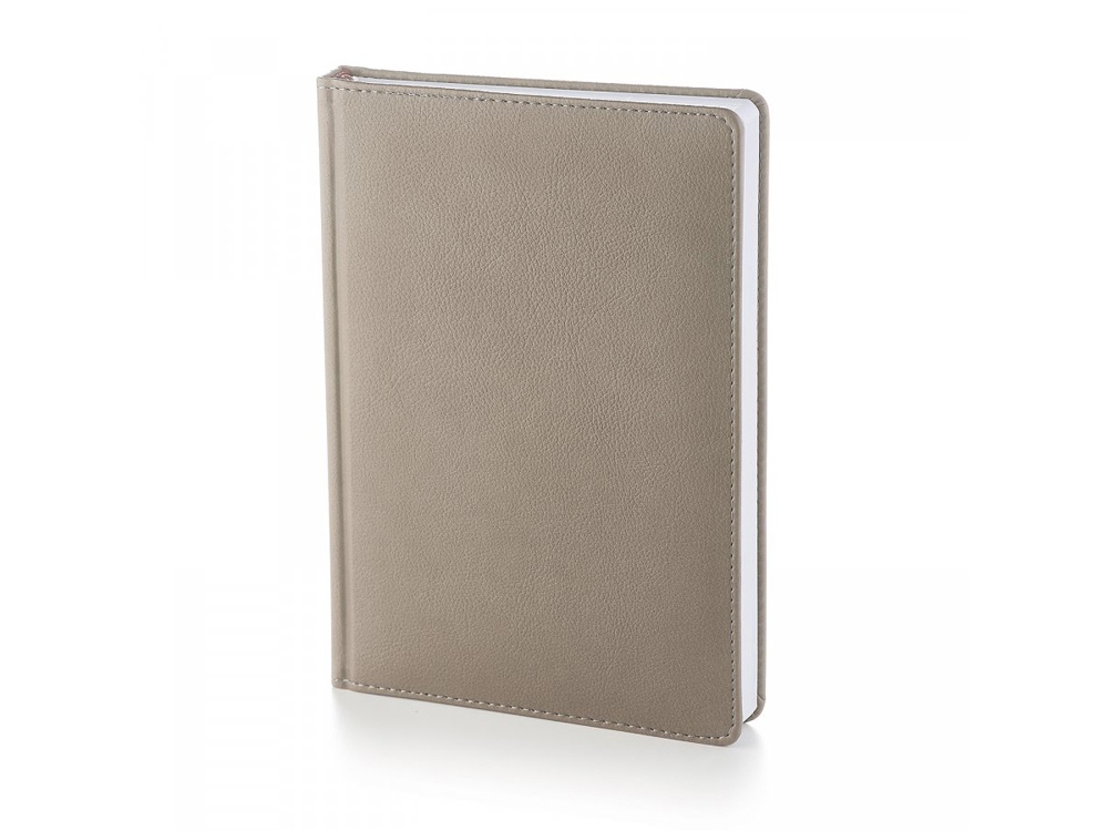 Ежедневник А5 датированный Leader на 2023 год с логотипом Альт | Print Logo