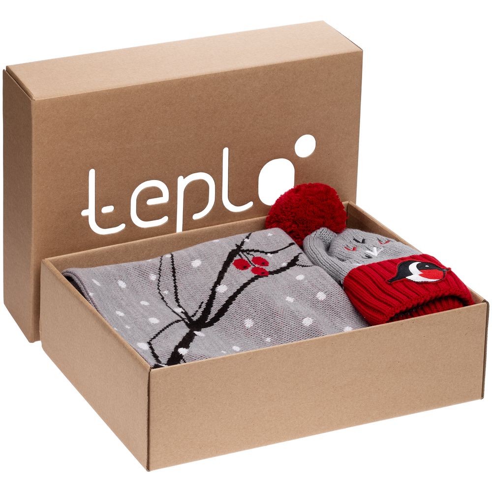 Коробка Teplo, большая — пример нанесения логотипа (teplo) | Print Logo