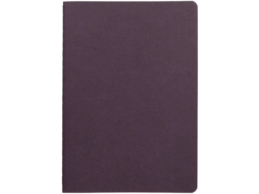 Бизнес тетрадь А5 Pragmatic, 40 листов в клетку, фиолетовый