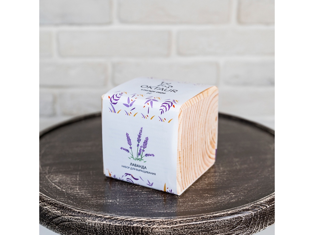 Набор для выращивания Big village cube Лаванда