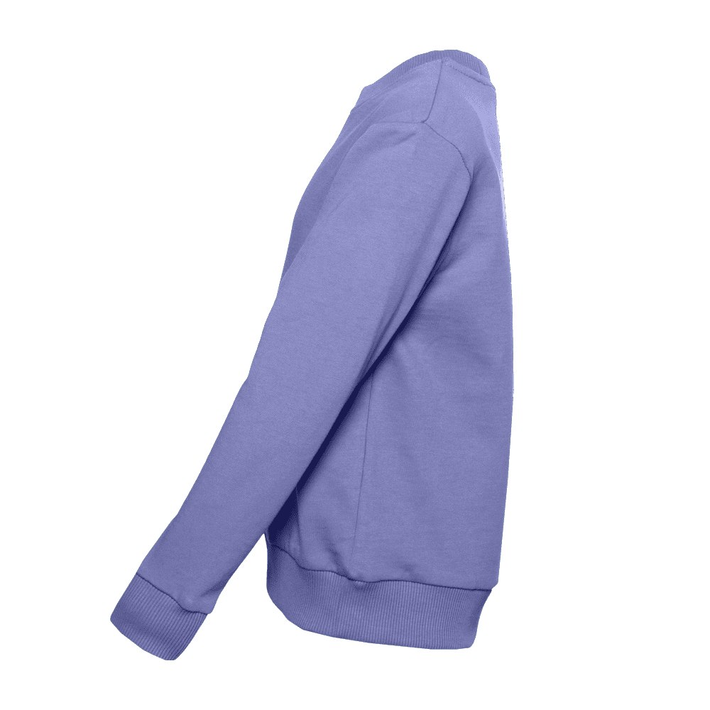 Свитшот детский STAN футер без начёса, 260, 63J, Сливовый,  (95)  (12/12 лет)