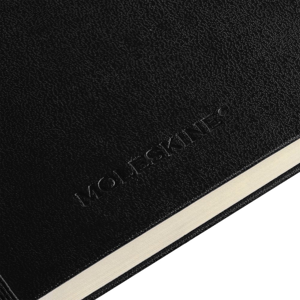 Записная книжка Moleskine Classic Large, без линовки