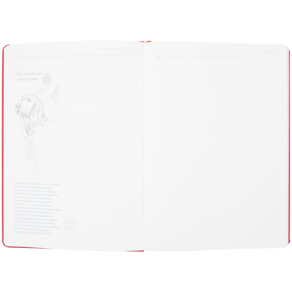 Ежедневник «История изобретений», недатированный