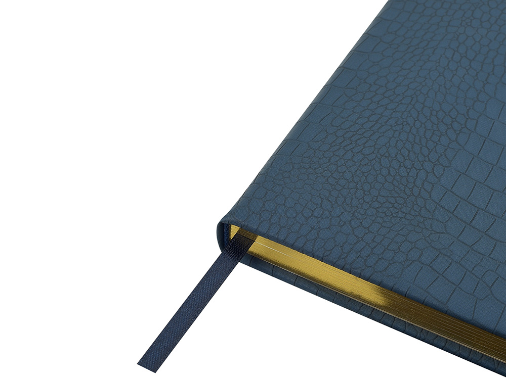 Ежедневник недатированный А5 Amazonia, синий с золотым обрезом