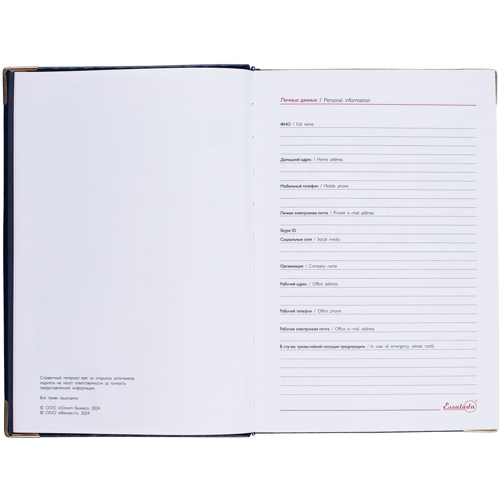 Ежедневник Lugo, датированный