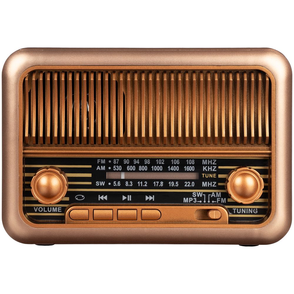 Bluetooth-колонка с радио Beatnik фото на сайте Print Logo.