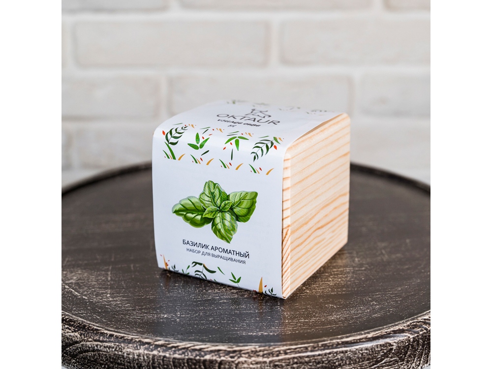 Набор для выращивания Big village cube Базилик ароматный