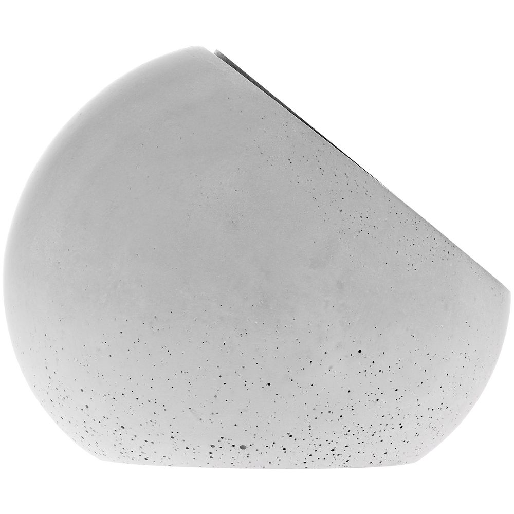 Награда BeTone — пример нанесения логотипа () | Print Logo