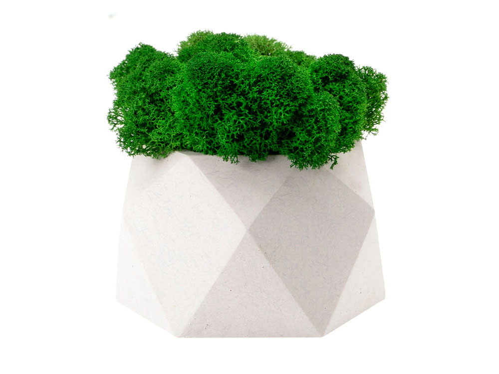 Кашпо бетонное со мхом (бета-циркон мох зеленый), QRONA