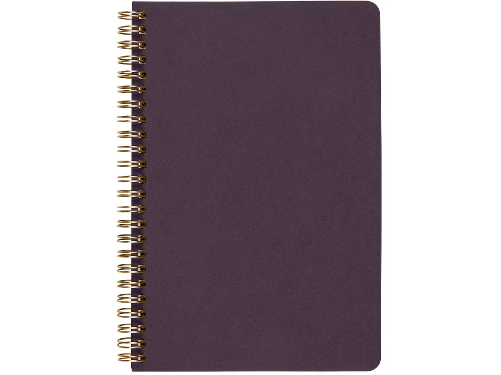 Бизнес тетрадь на гребне А5 Pragmatic, 60 листов в клетку, фиолетовый