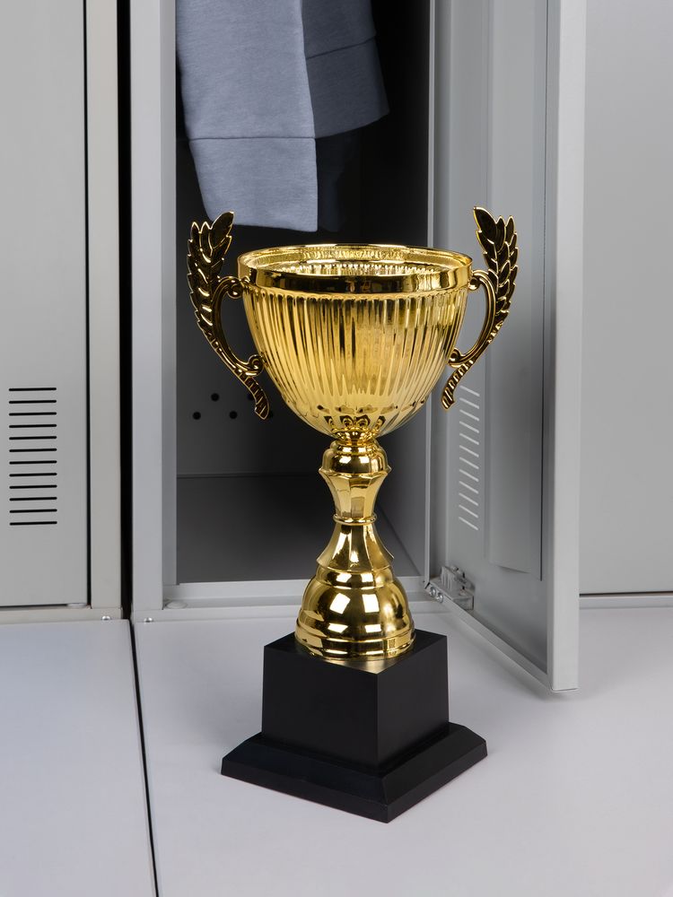 Кубок Spica, большой