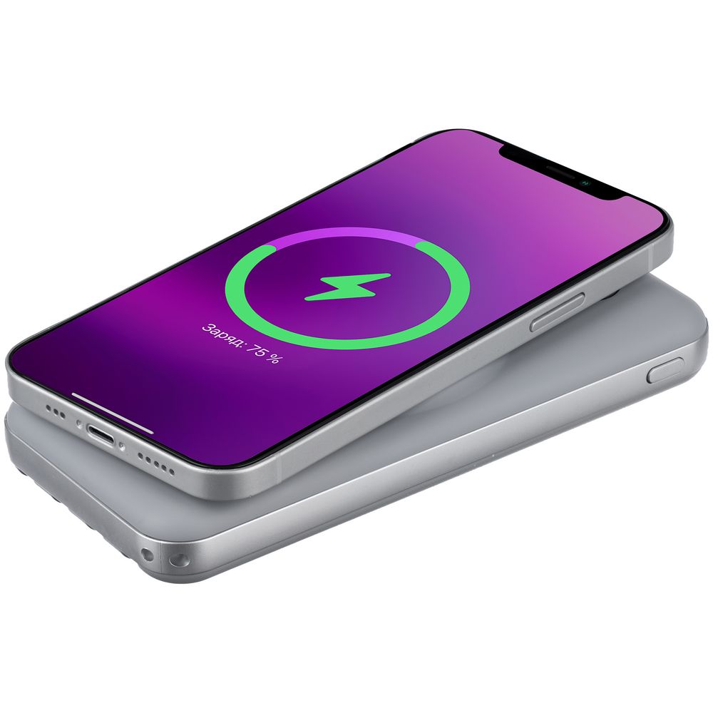 Внешний аккумулятор Omni Pro 10000 мАч фото на сайте Print Logo.