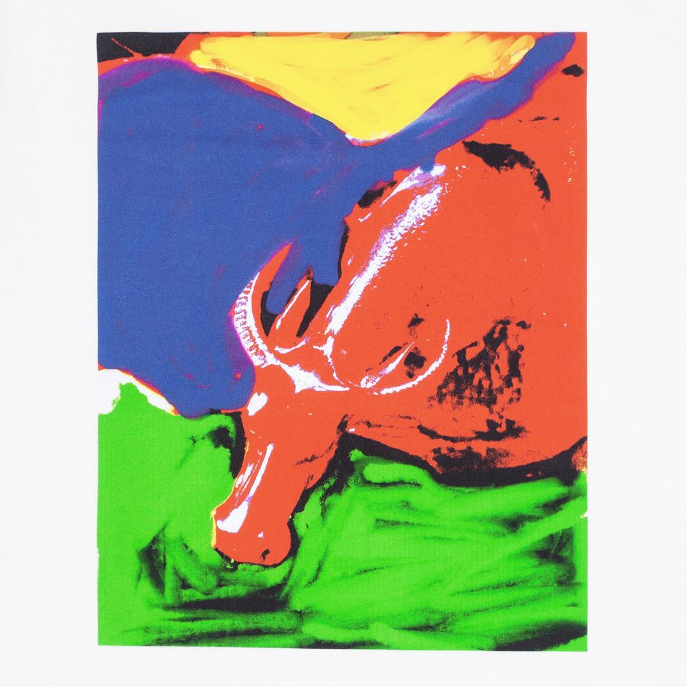 Футболка женская Toro — пример нанесения логотипа (CoolColor) | Print Logo