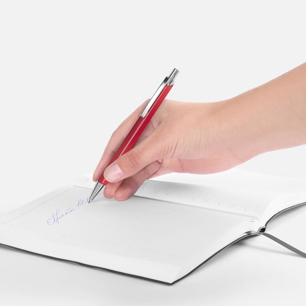 Ручка шариковая Alumno