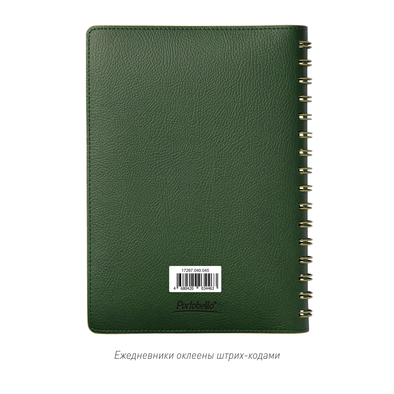 Ежедневник Виста (Vista) недатированный, зеленый/салатовый