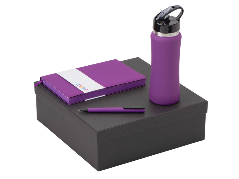 Подарочный набор c блокнотом C1, ручкой и бутылкой с логотипом  | Print Logo
