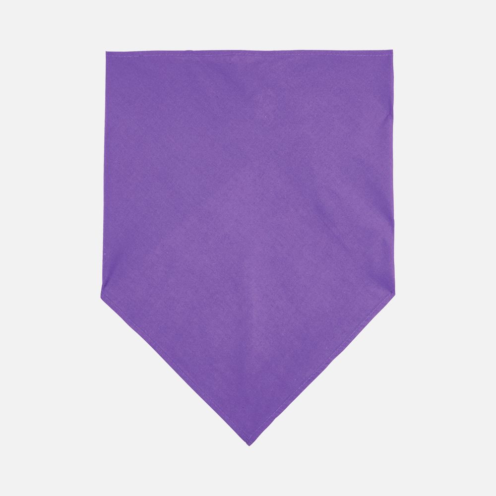 Шейный платок Bandana