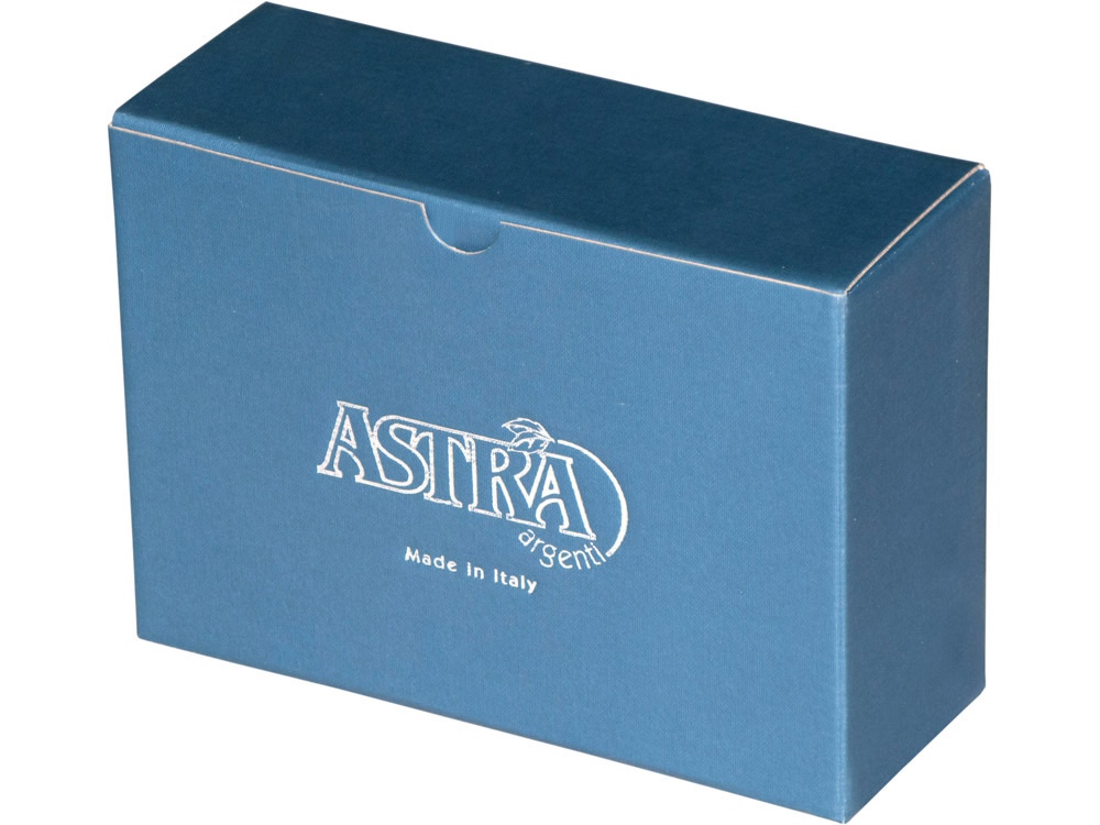 Настольный прибор Правопорядок, серебристый/черный