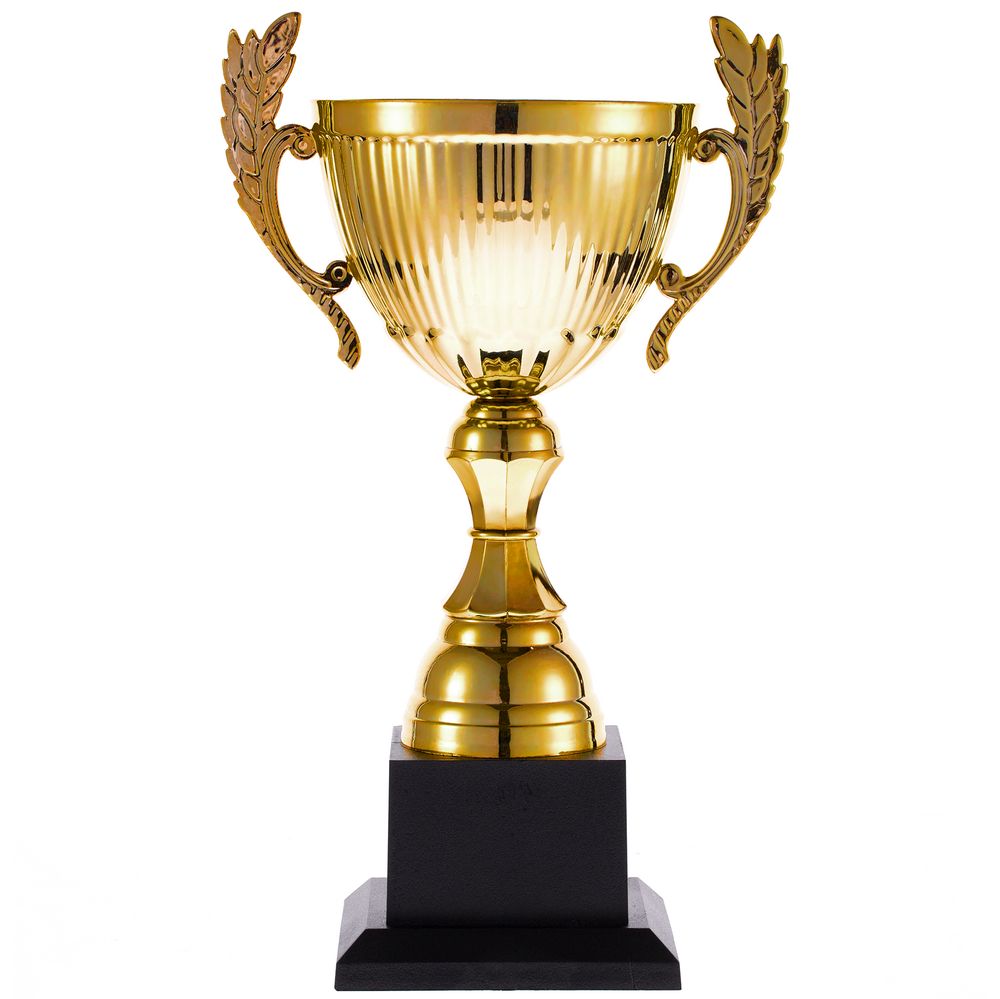 Кубок Spica, средний с логотипом  | Print Logo