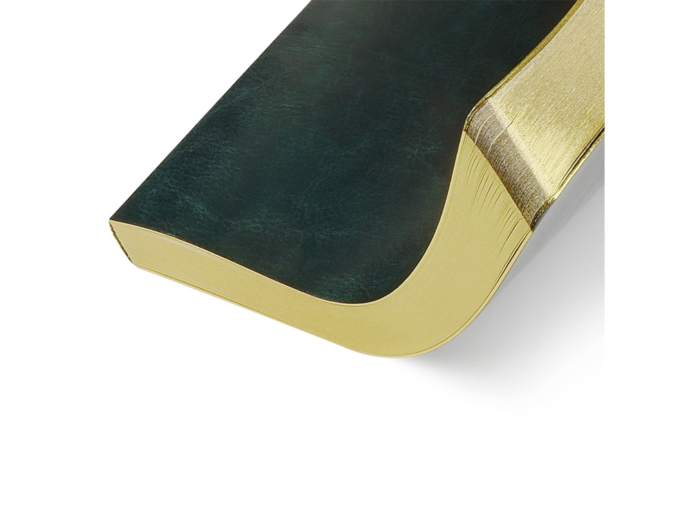 Ежедневник недатированный А5 Megapolis Nebraska Flex, зеленый с золотым обрезом (Р)