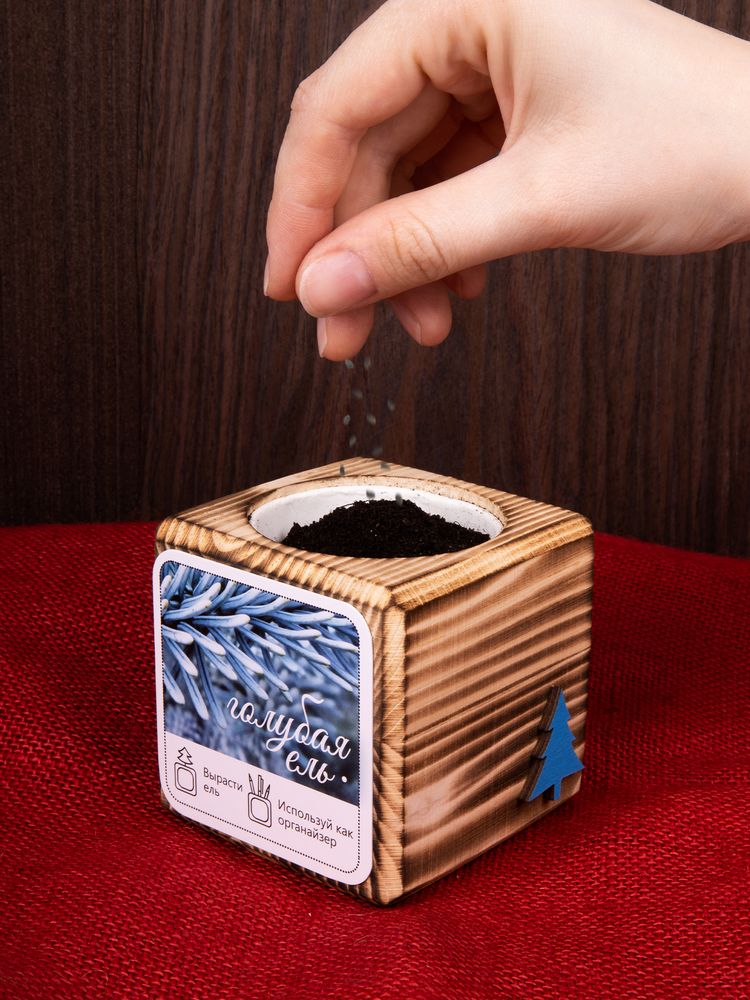 Набор для выращивания с органайзером «Экокуб Burn»