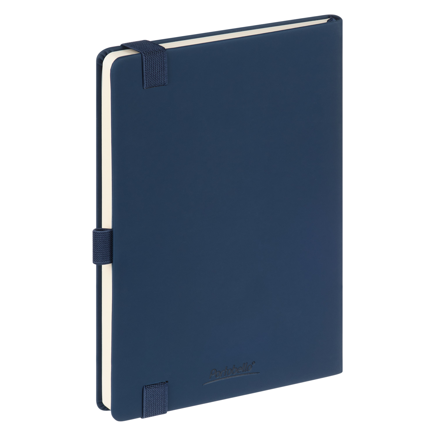 Ежедневник Альфа (Alpha) недатированный, синий/голубой