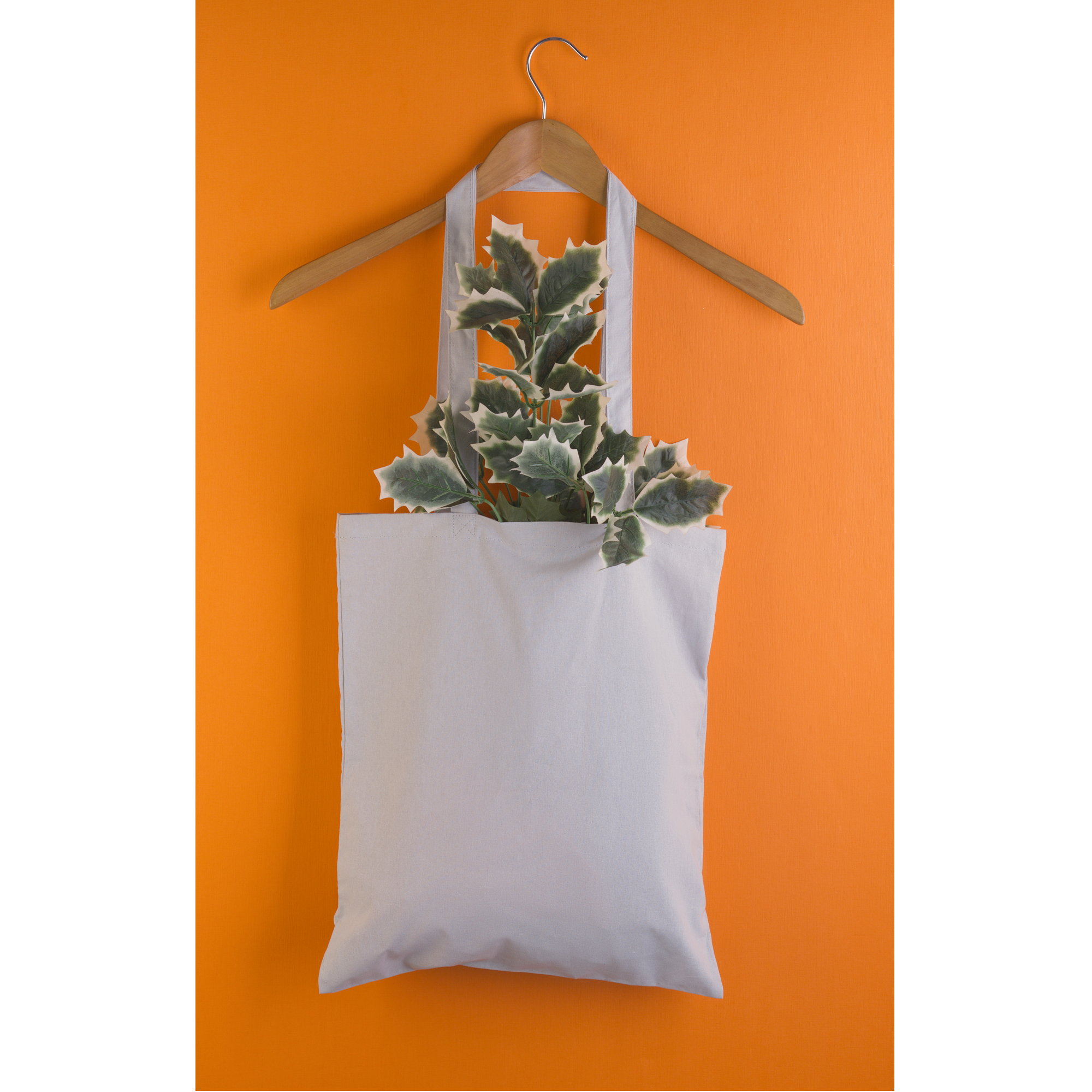 Сумка для покупок "Эко+" фото на сайте Print Logo.