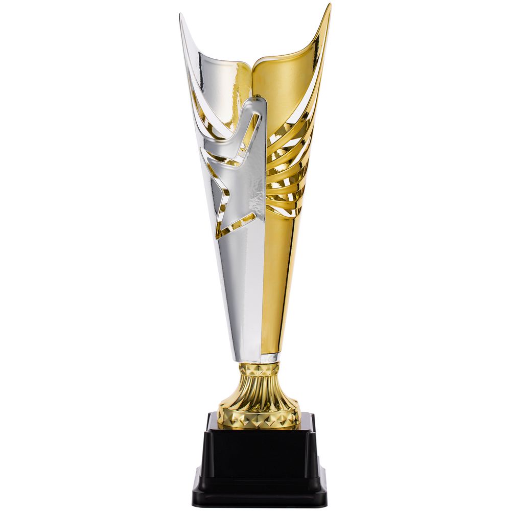 Кубок-факел Flamous Starry — пример нанесения логотипа () | Print Logo