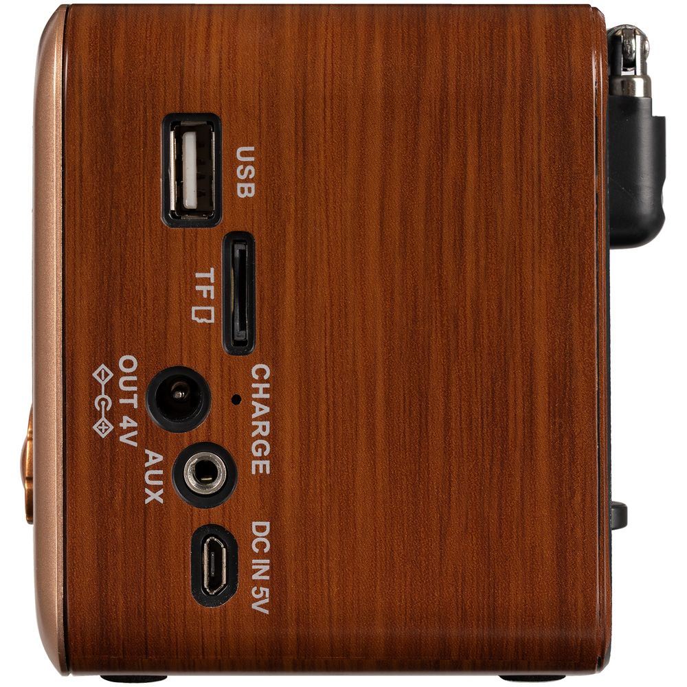 Bluetooth-колонка с радио Beatnik фото на сайте Print Logo.