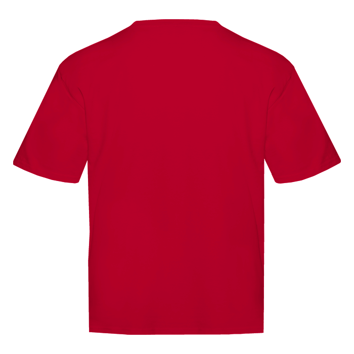 Футболка унисекс оверсайз STAN хлопок 240, 56, Красный,  (14)  (48/M)