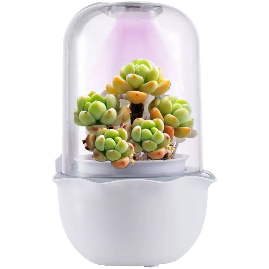 Умная теплица growUp фото на сайте Print Logo.