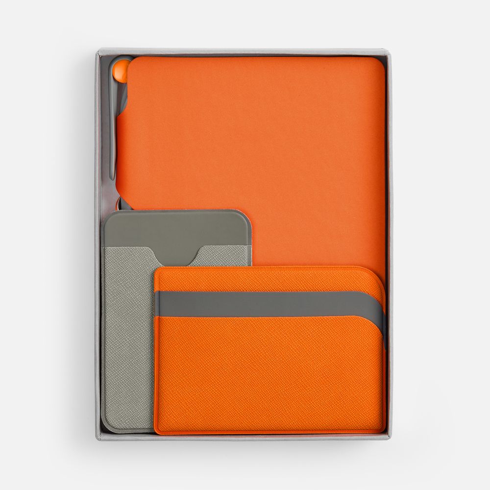 Набор Flexpen Dual